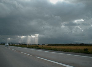 Angel�fs�@Ladder