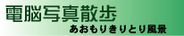 �d�]�ʐ^�U����