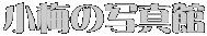 ���~�̎ʐ^��