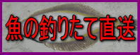�X�̒ނ肽�ċ��̔�����