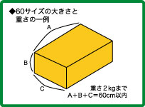 TCY敪